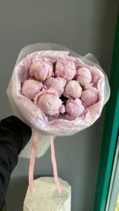 Красивые пионы 9шт