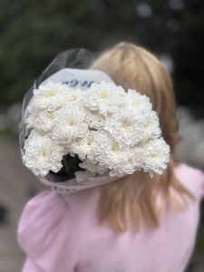 5 шт - Хризантема Алтай