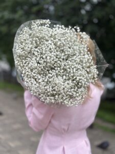 5 шт - Гипсофила