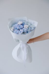 Первый свет S